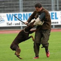 Afra von der Fuggerstadt Afra von der Fuggerstadt