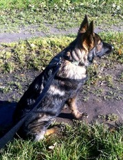 Diva von der Old Lady Diva von der Old Lady
