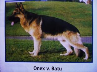 Onex von Batu Onex von Batu