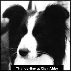 Thunderline of Clan-Abby Thunderline of Clan-Abby