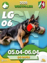 SV LG-FCI  (LG 06) 2025 - FCI-IGP 3