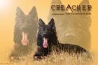 Creacher vom Ellewicker Feld