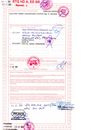 img321_p.pdf