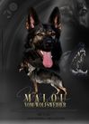 Malou vom Wolfsweiher