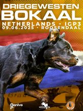 3 Gewesten Bokaal