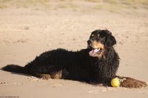 Mein Strand! Mein Ball!
Dänemark 2022