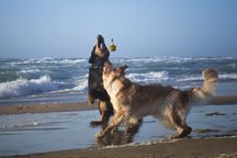 Spielen mit der frechen Bo!
Dänemark 2022