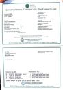 x-rays of Nick results.pdf