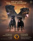 N litter - Spencer and Jennifer