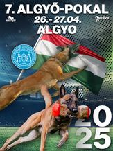 MEOESZ-ŐVSB - FMBB Qualification 7. Algyő-Cup 2025 - FCI - IGP 3
