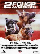 2025 2. FCI IGP WM Qualifikation Bundessiegerprüfung für 7 Länderwettkampf 2025 - FCI-IGP 3