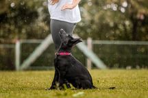 Bild von Unika vom K&ouml;rbelbach