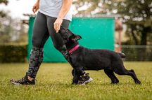 Bild von Unika vom K&ouml;rbelbach