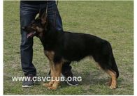 Cere von DaLei