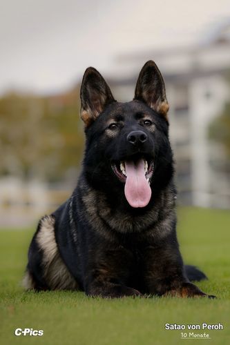 Satao von Peroh