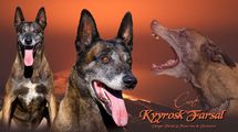 Kyyrosk Farsal