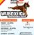 WUBOX IGP TARRAGONA 2025