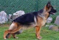 Doris vom Team Furstenbrunn