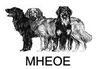 Magyar Hovawart Ebtenyésztők Országos Egyesületet (MHEOE)