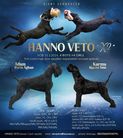 X2 HANNO VETO