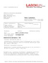 adolf DM.pdf