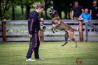 Chaos vom Stockborn
