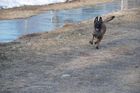 Lea vom Strengen Winter