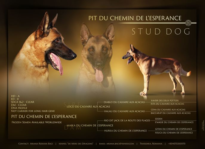 Pit du chemin de l'Espérance