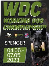WDC Working Dog Championship of USA