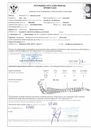 RTG SPONDY.pdf
