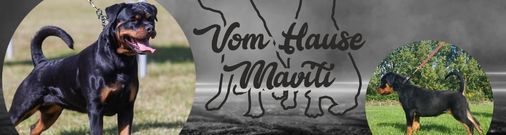 Vom Hause Maviti
