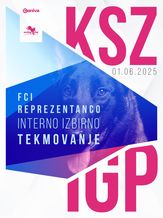 KZS Prüfungen Interno Izbirno Tekmovanje Za FCI IGP Reprezentanco - FCI - IGP 3