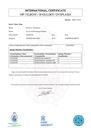 International Certificate Dysplasia - Iry vd Mecklenburger Rüpeln.pdf