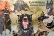 Cannibal Rebel Dog