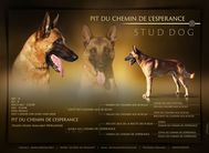 Pit du chemin de l'Espérance