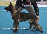 Cid von E.O