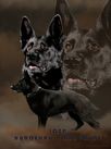 Loza Hundehaus Sandgrube