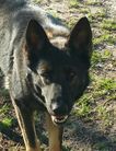 Madam Mia vom Roxie Oz