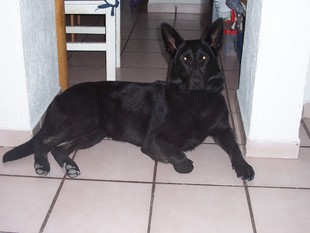 Prieta von den Hoehenluft Prieta von den Hoehenluft