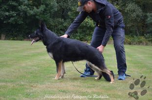 Britt van den Ronden Hoek (2016) Britt van den Ronden Hoek (2016)