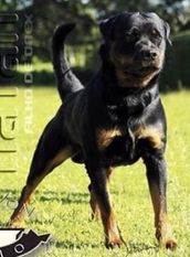 Natan Onex von Olivio Natan Onex von Olivio