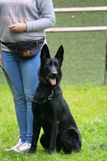 Mabel von der Liebenburg Mabel von der Liebenburg