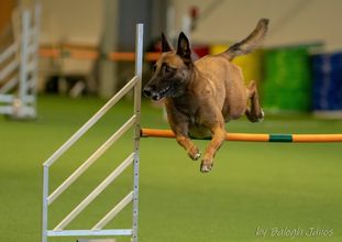 Escalade vom Wolfsschlössl Escalade vom Wolfsschlössl