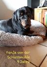 Fenja von der Schlossmühle