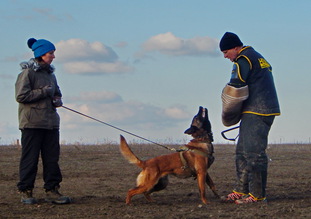 Waild Marinchuk K-9 Waild Marinchuk K-9