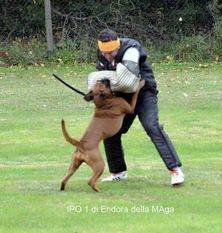 Endora della Maga Endora della Maga