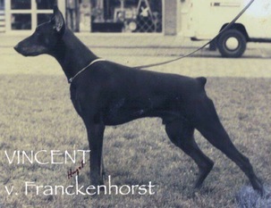 Vincent vom Franckenhorst Vincent vom Franckenhorst