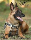 Winny vom Greifenring