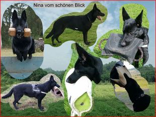 Nina vom schönen Blick Nina vom schönen Blick