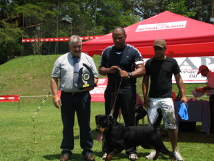 Yanka Jecki Black Champion Yanka Jecki Black Champion